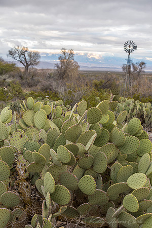 Big Bend National Park KAC0600