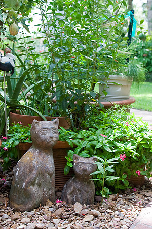 Garden Scene KAC7072