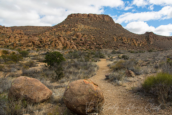 Grapevine Hills Big Bend KAC0104