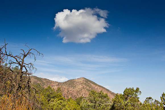Juniper Flats Big Bend KAC5412