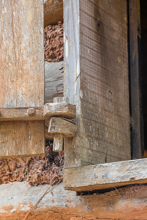 Jesse H Jones Nature Park KAC0977