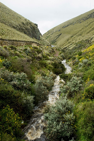 Antisana Preserve landscape KAC607571