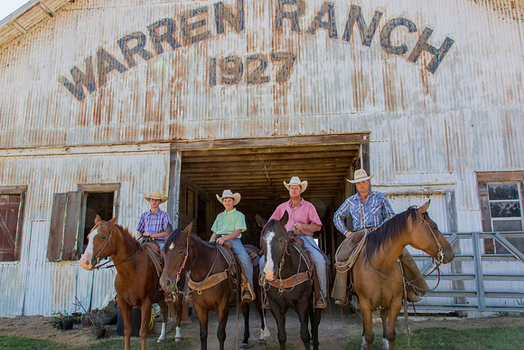 Cowboys on Horses KAC7942