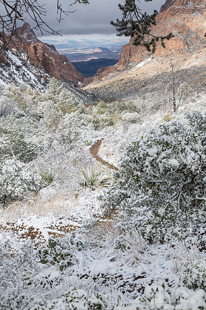 Big Bend National Park Snow KAC0029