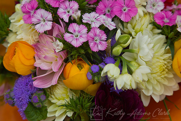 Farmers Market KAC0560