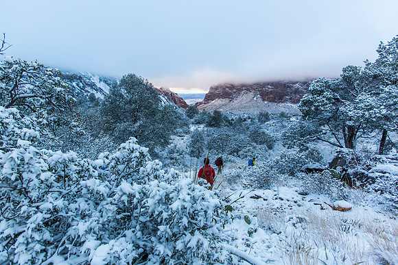 Big Bend National Park Snow KAC0651