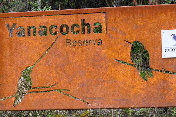 Yanacocha Reserve KAC9245