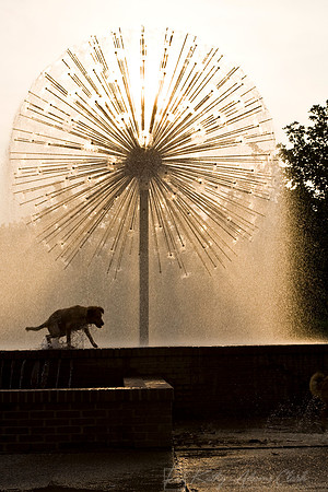 Gus Wortham Memorial Fountain KAC 1744