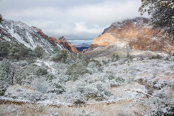 Big Bend National Park Snow KAC0023