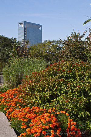 Hermann Park Houston KAC9435