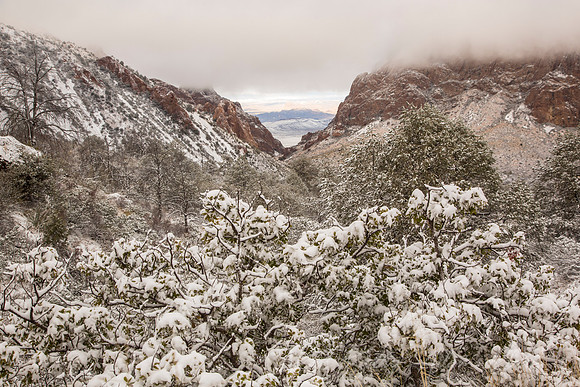 Big Bend National Park Snow KAC0704
