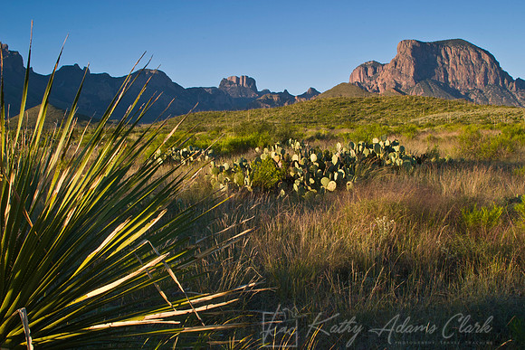 Chisos Mountains from Green Gulch KAC090420