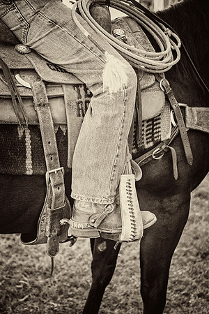 In the Saddle KAC8350tt