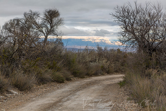Big Bend National Park KAC0591