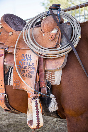 Horse Tack KAC7833