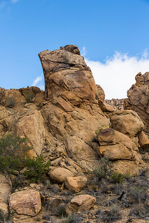 Grapevine Hills Big Bend KAC0107