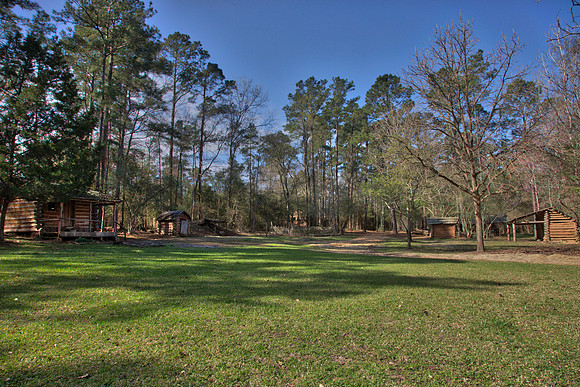 HDR Jesse H Jones Nature Park KAC1003_HDR.jpeg