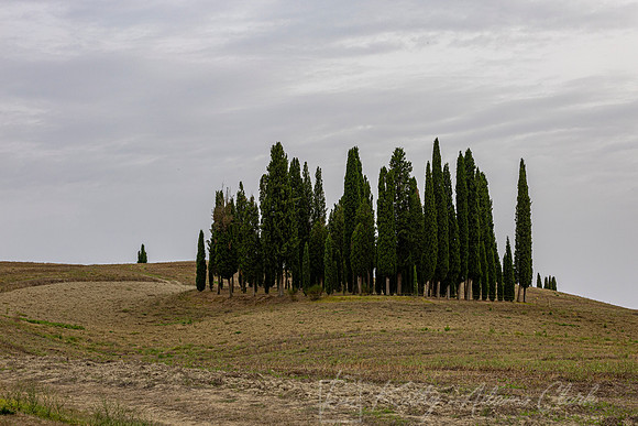 Landscapes Tuscany KAC3189