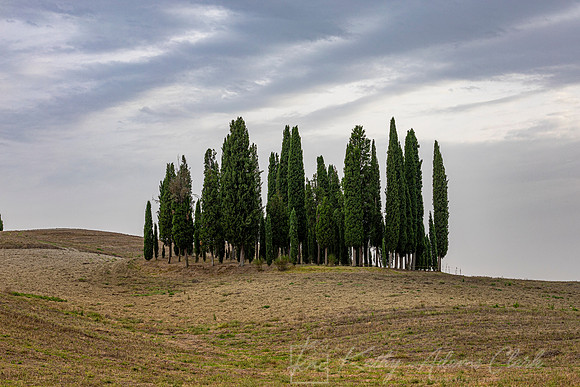 Landscapes Tuscany KAC3203