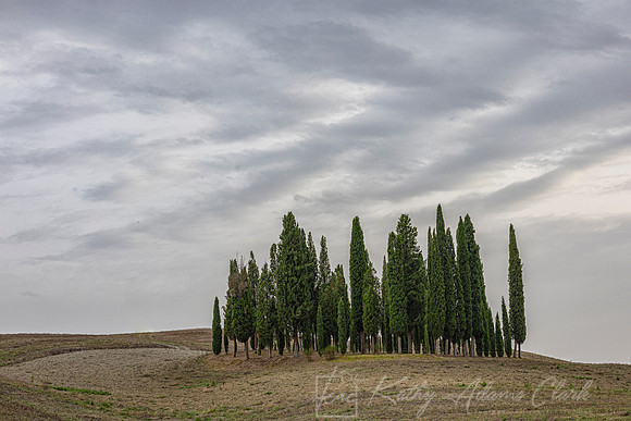Landscapes Tuscany KAC3204NIKcopy