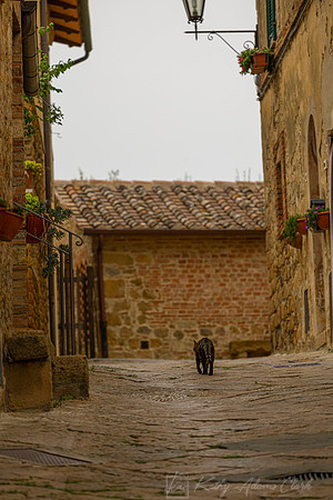 Monticchiello Tuscany KAC3250