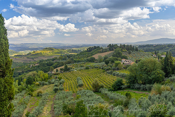 San Gimignano Italy KAC4319
