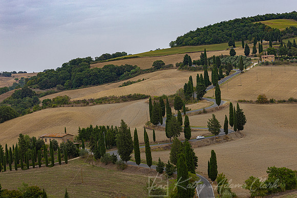Tuscany Landscape KAC3166