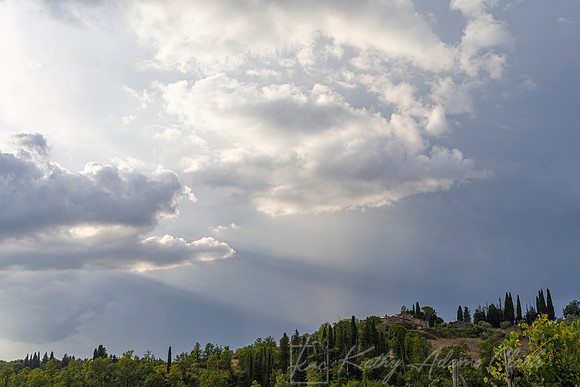 Vineyards Tuscany KAC3071