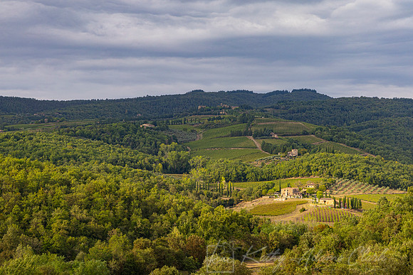 Vineyards Tuscany KAC3083
