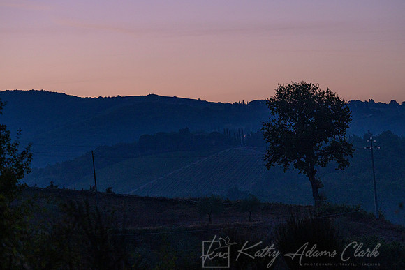 Vineyards Tuscany KAC3085