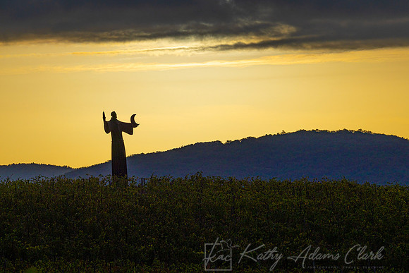 Vineyards Tuscany KAC3130