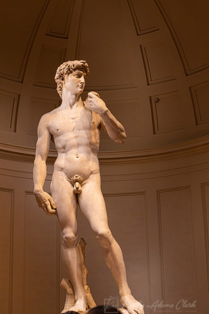 Accademia  Florence KAC2656