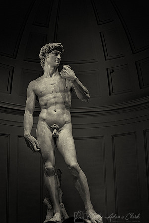 Accademia  Florence KAC2656NIK