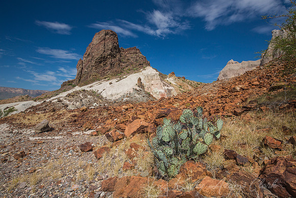 Tuff Canyon Big Bend KAC7325