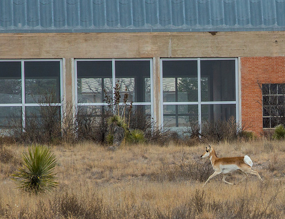 1 Chinati Foundation Marfa KAC5205