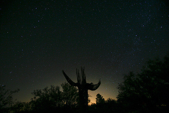 Star at Night KAC8333