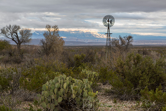 Big Bend National Park KAC0593