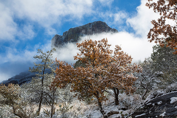 Big Bend National Park Snow KAC0085