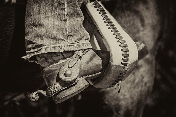 Boot in Stirrup KAC7929tt