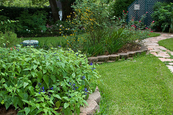 Garden Scene KAC7075