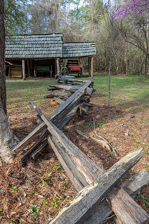 Jesse H Jones Nature Park KAC0932