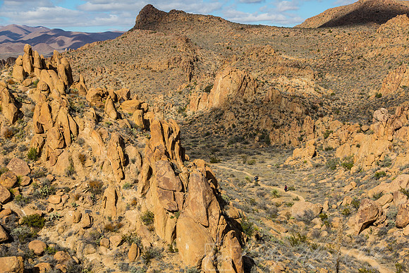 Grapevine Hills Big Bend KAC0111