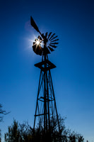 Windmill Starburst KAC9228