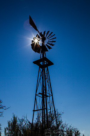 Windmill Starburst KAC9228