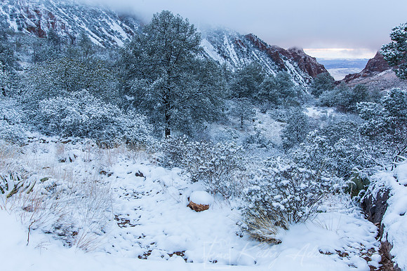 Big Bend National Park Snow KAC0640