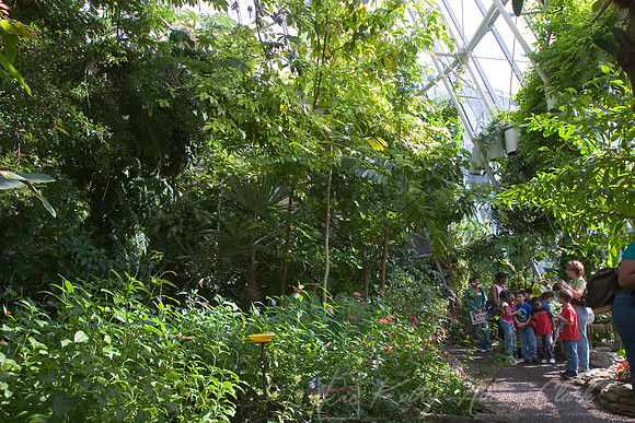 Cockrell Butterfly Center Interior KAC110536
