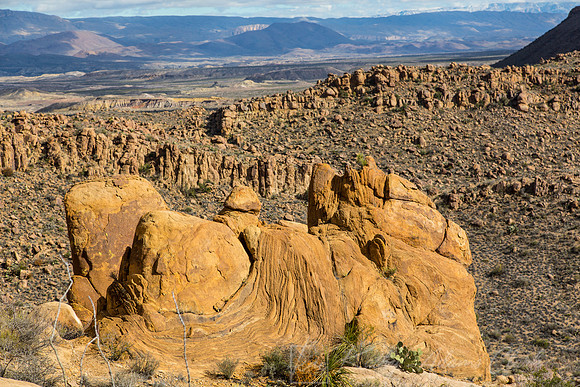 Grapevine Hills Big Bend KAC0113