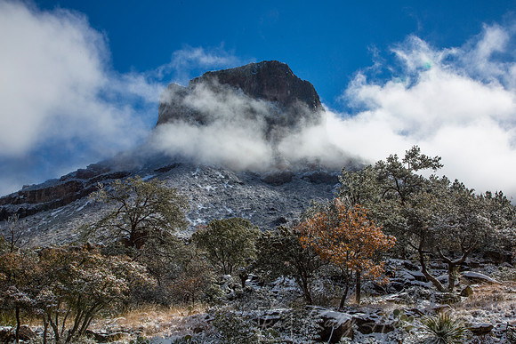 Big Bend National Park Snow KAC0090