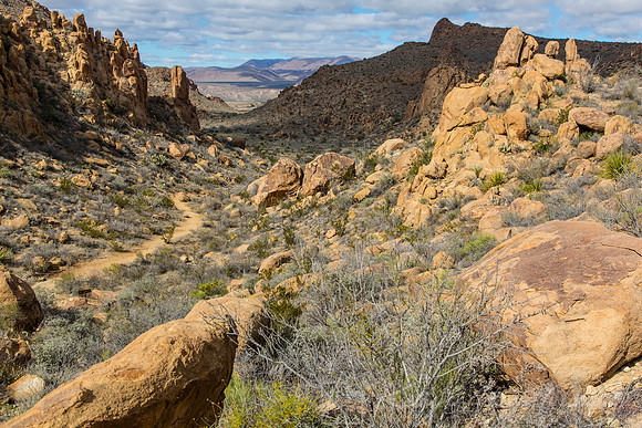 Grapevine Hills Big Bend KAC0108