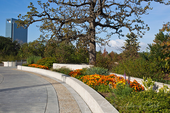 Hermann Park Houston KAC9431